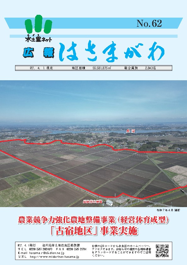 最新号